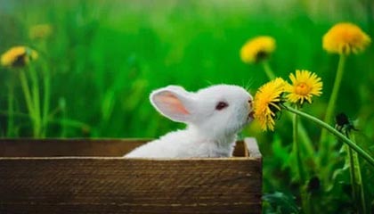 通许伴游，定制QQ：3494206190微信：act1322